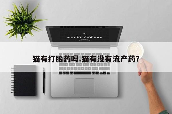 私人卖打胎药微信号,亲测有效！猫有打胎药吗.猫有没有流产药？