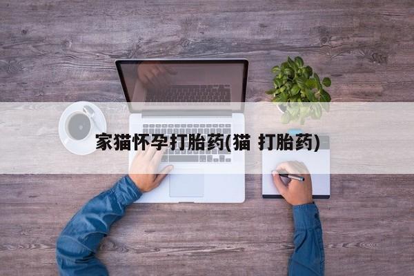 私人卖打胎药微信号,亲测有效！家猫怀孕打胎药(猫 打胎药)